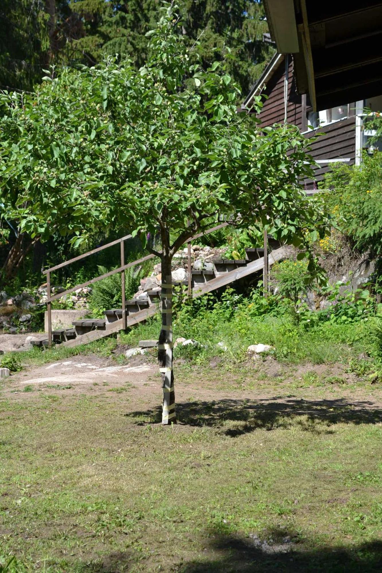 Vaestersten Sipoo Exterior photo